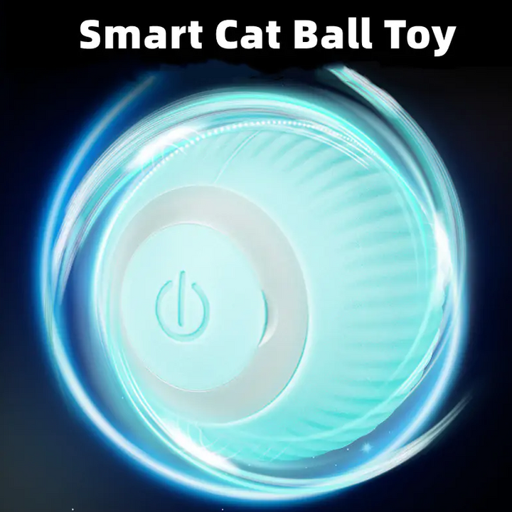 Smart Cat Ball Toys - Choose Victor
