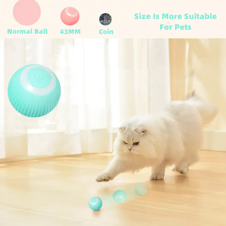 Smart Cat Ball Toys - Choose Victor