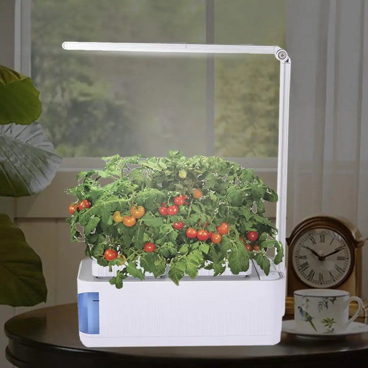 Hydroponic Indoor Herb Garden Kit - Choose Victor