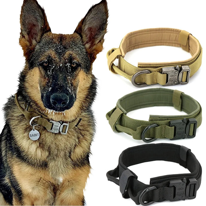 Dog Collar - Choose Victor